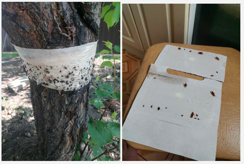 Провели подготовку товара к старту продаж и продвижению на топ-маркетплейсах РФ