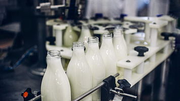 Продвижение молочного комбината: как за год получить 19 тысяч новых пользователей с SEO и 2% конверсии в отгрузку с контекстной рекламы