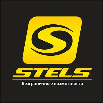 10 инсайтов как перестать быть аутсайдером по трафику для компании Stels